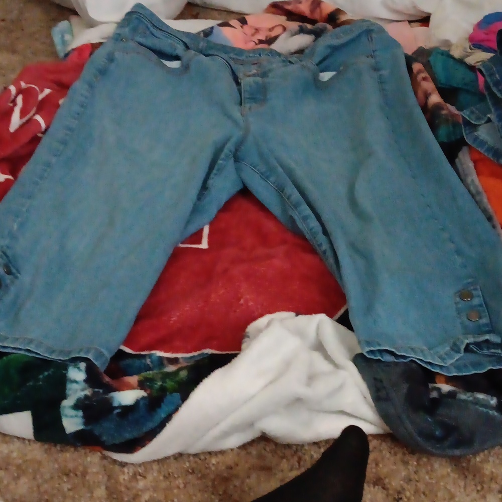 Gloria Vanderbilt, 14, Blue Jean capris